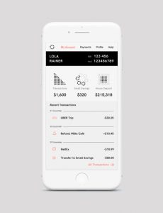 Balance Bank Account Screen UI Design